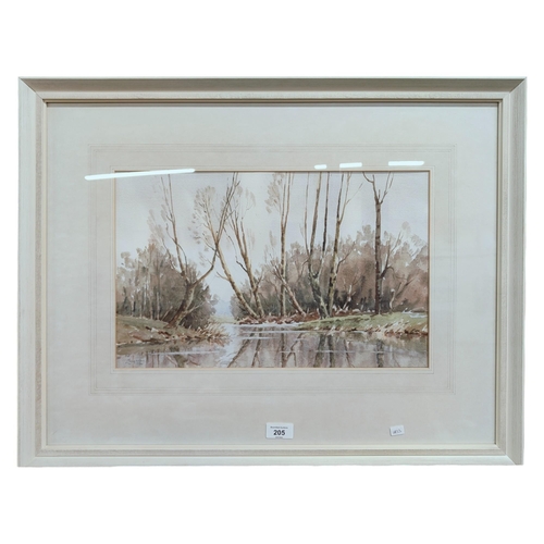 205 - SIGNED - WATERCOLOUR - RIVER IN LANDSCAPE 44cm X 28cm