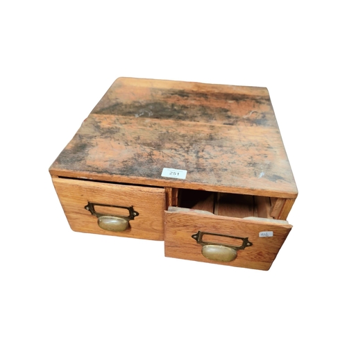 251 - VINTAGE 2 DRAWER FILING BOX