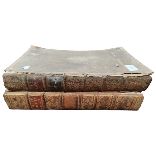 199 - BOOK-2 ANTIQUE VOLUMES - IRISH STATUTES 1721 - 1731 &1634 - 1662