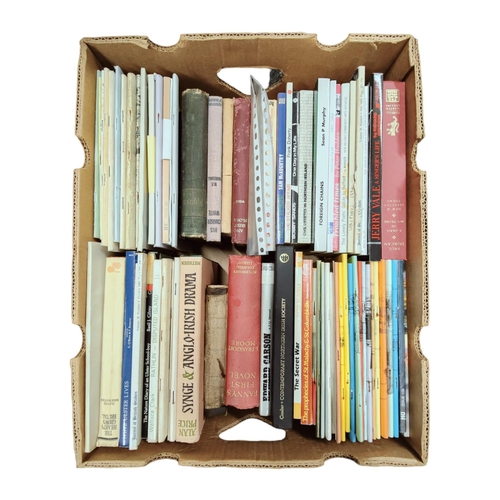 108 - BOX OF IRISH BOOKS