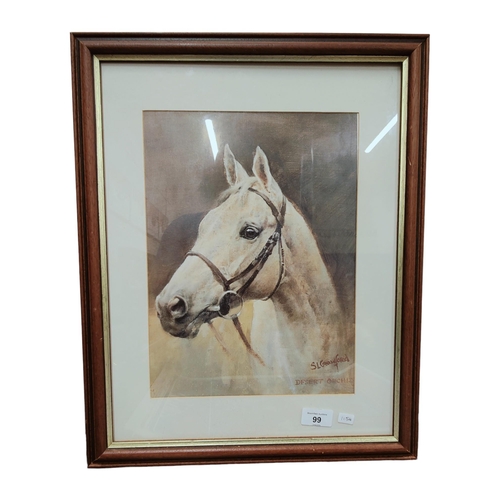 99 - HORSE PICTURE - DESERT ORCHID