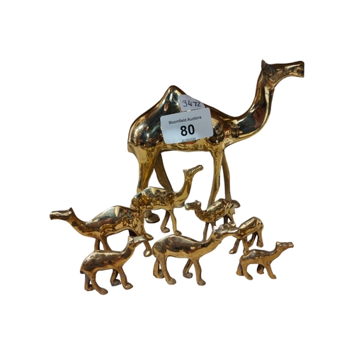 80 - SET OF 8 BRASS CAMEL FAMILY