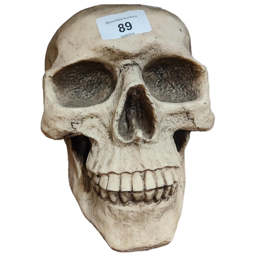 89 - MODEL SKULL