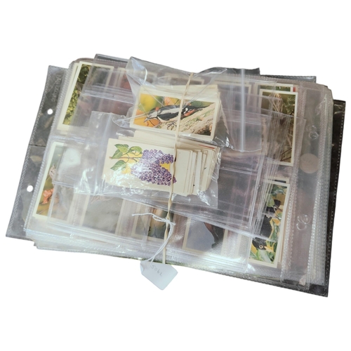 36 - QUANTITY OF CIGARETTE CARDS