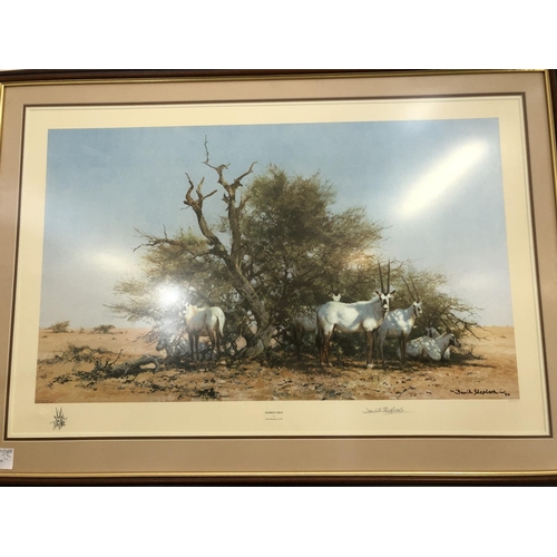 137 - David Shepherd Signed Print - Arabian Oryx