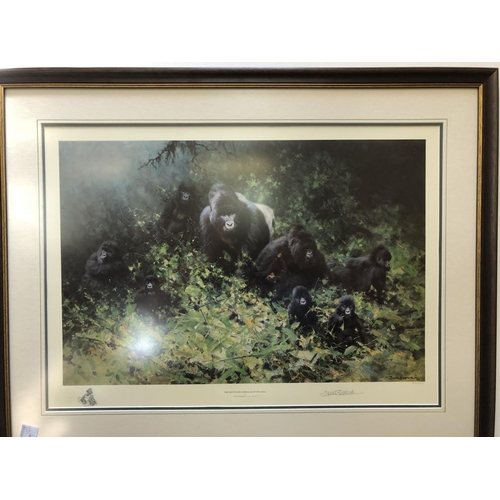 139 - David Shepherd Signed Print - Mountain Gorillas