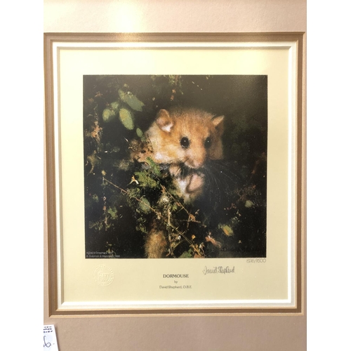 142 - David Shepherd Signed Print - Doormouse