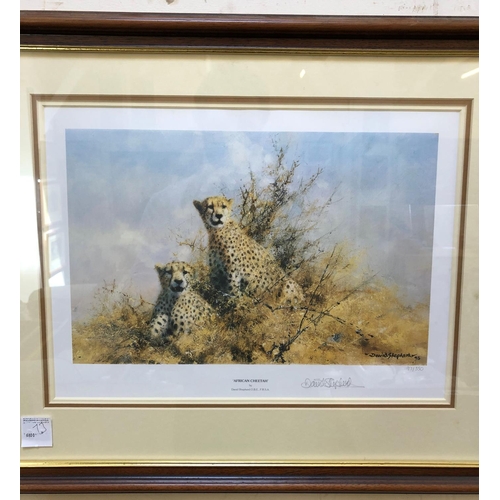 147 - David Shepherd Signed Print - African Cheetah