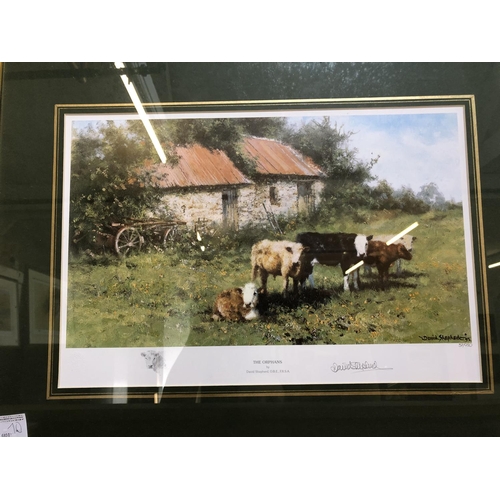 150 - David Shepherd Signed Print - The Orphans