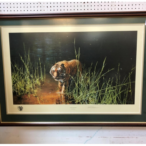 153 - David Shepherd Signed Print - Jungle Gentleman