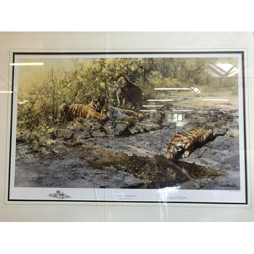 156 - David Shepherd Signed Print - The Tigers