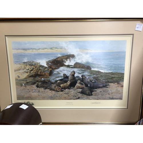 157 - David Shepherd Signed Print - Elephant Seals