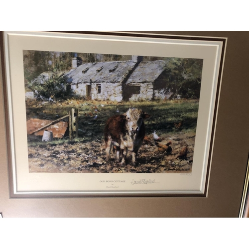 160 - David Shepherd Signed Print - Bens Cottage