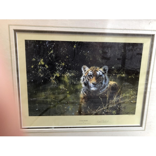 163 - David Shepherd Signed Print - Cool Tiger