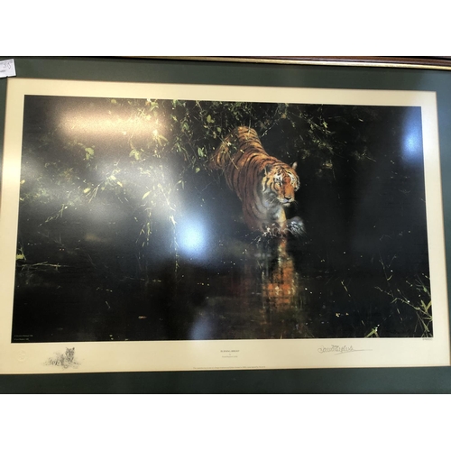 164 - David Shepherd Signed Print - Burning Bright