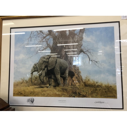 166 - David Shepherd Signed Print - Baobab & Friends