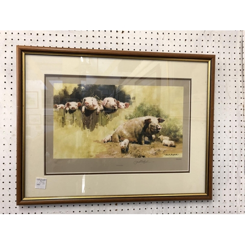 169 - David Shepherd Signed Print - Porkers