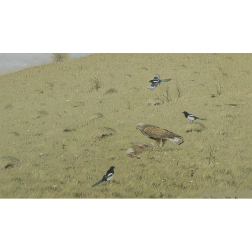 183 - John Reaney, The Buzzard and His Kill, Watercolour, Pastels