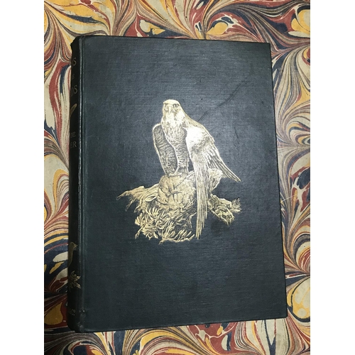 150 - Baxter, Evelyn. The Birds of Scotland, 2 volumes, first edition, plates, original cloth, dust-jacket... 