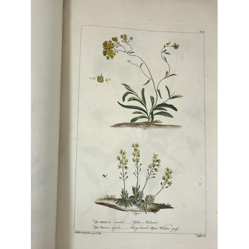 164 - Miller, Philip. Figures of Beautiful, Useful, and Uncommon Plants described in the Gardeners' Dictio... 