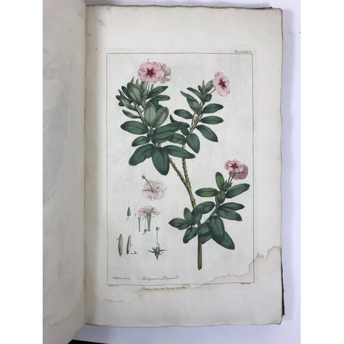 164 - Miller, Philip. Figures of Beautiful, Useful, and Uncommon Plants described in the Gardeners' Dictio... 