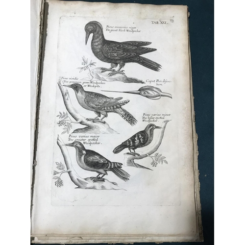 177 - Willughby, Francis. Ornithologiae Libri Tres, first edition, 72 [of 77] engraved plates only, plates... 