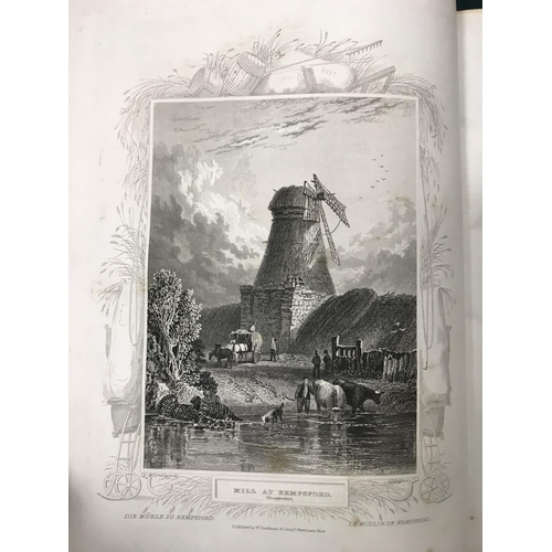 95 - Tombleson, William. Tombleson's Thames, engraved title and dedication, 80 engraved plates, tissue gu... 