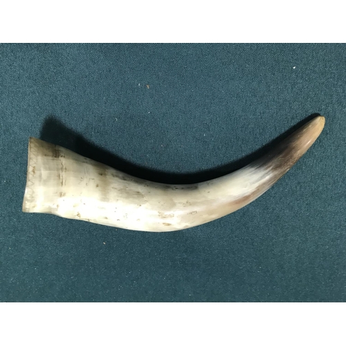 692 - A DRINKING HORN WITH REGIMENTAL CREST. A small drinking horn, the flared end indistinctly engraved w... 