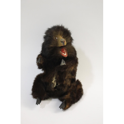 1378 - AUTOMATON BEAR probably by Roullet de Decamps, with carved wooden feet and movable head and legs. Wi... 