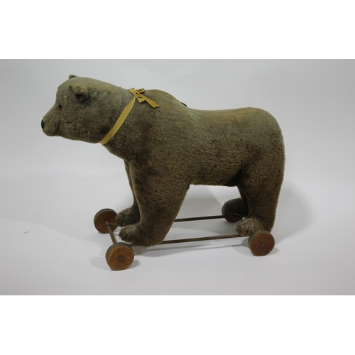 1488 - VINTAGE PULL ALONG BEAR possibly by Steiff, the Bear mounted on a metal frame and wooden wheels. Wit... 