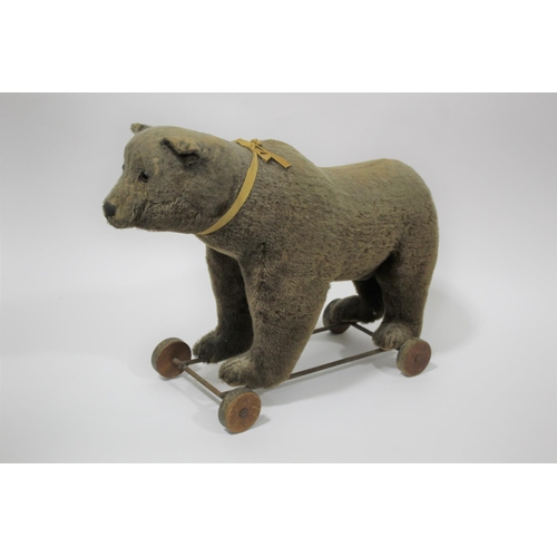 1488 - VINTAGE PULL ALONG BEAR possibly by Steiff, the Bear mounted on a metal frame and wooden wheels. Wit... 