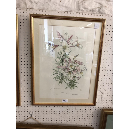 201 - Three Botanical Prints, Elizabeth Cameron, Signed by the Artist