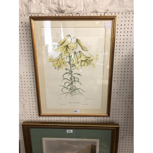 201 - Three Botanical Prints, Elizabeth Cameron, Signed by the Artist