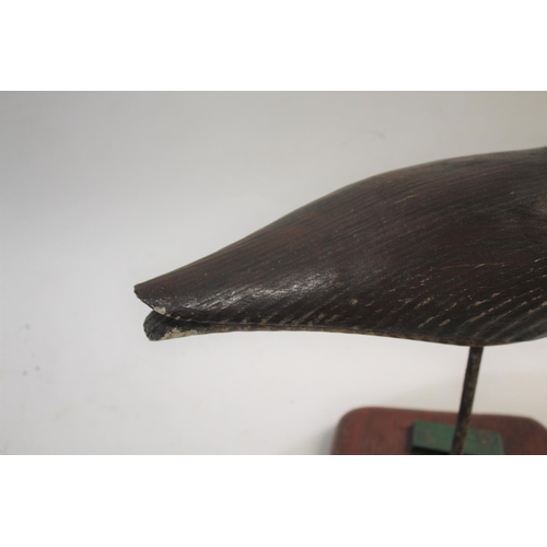 1034 - GUY TAPLIN - CARVED WOODEN CURLEW a large painted wooden model of a Curlew, supported by a metal sha... 