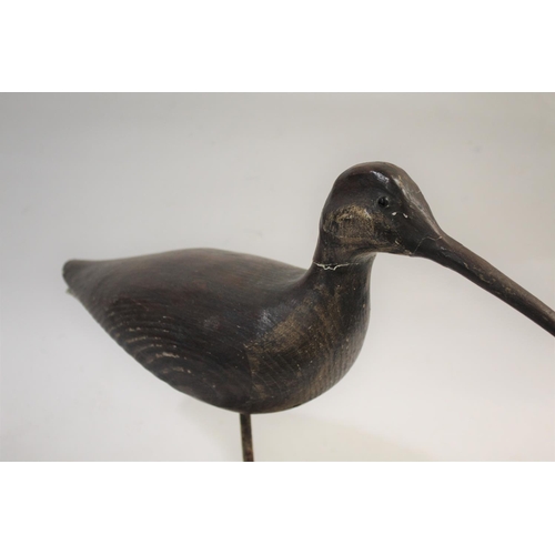 1034 - GUY TAPLIN - CARVED WOODEN CURLEW a large painted wooden model of a Curlew, supported by a metal sha... 