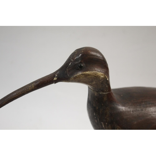 1034 - GUY TAPLIN - CARVED WOODEN CURLEW a large painted wooden model of a Curlew, supported by a metal sha... 