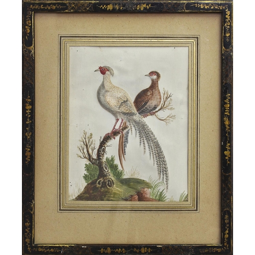 1701 - A BASSO RELIEVO ORNITHOLOGICAL STUDY IN THE MANNER OF SAMUEL DIXON, depicting two exotic pheasant li... 