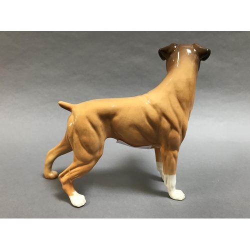 7A - Royal Doulton Boxer Dog