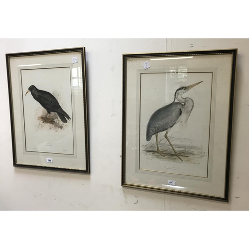 146 - Two Edward Lear lithographs of a Chough and a Common Heron, 1833 (2)