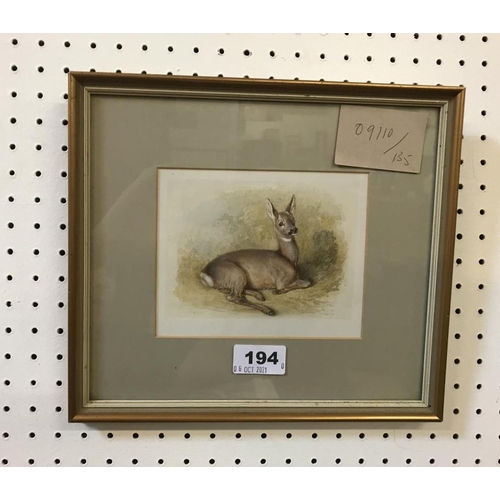 194 - Watercolour vignette of a young deer by Benno Rafael Adam, signed and dated 1851