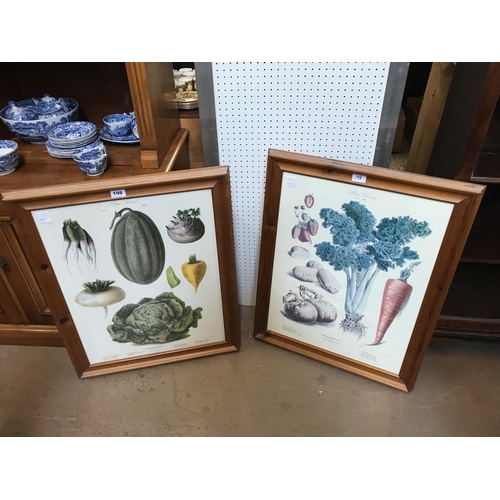 198 - Two French prints of Vegetables from `Album Vilmorine`, reproductions