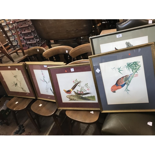 217 - Eleven various bird prints, modern reproductions