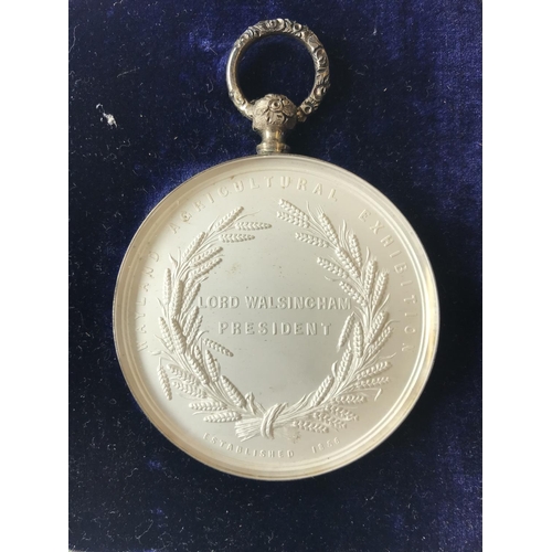 1107 - TWO WAYLAND AGRICULTURAL EXHIBITION PRIZE MEDALS. A Frosted Wayland Agricultural Exhibition award, P... 