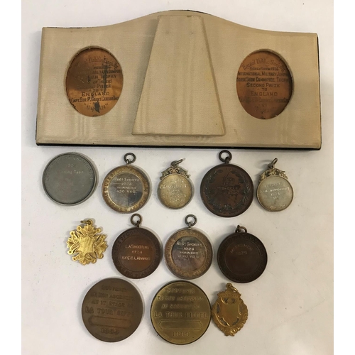 1110 - A COLLECTION OF AWARD AND SOUVENIR MEDALS. Three mounted oval medals, Royal Dublin Society Horse sho... 