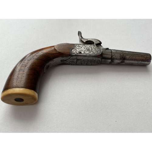 504 - A 19TH CENTURY WAISTCOAT PISTOL. A small percussion action pistol with a 3.8cm screw off barrel, the... 