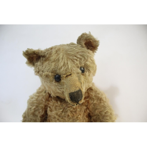 1433 - EARLY STEIFF TEDDY BEAR circa 1908-1915, with black boot button eyes and stitched mouth and nose, wi... 