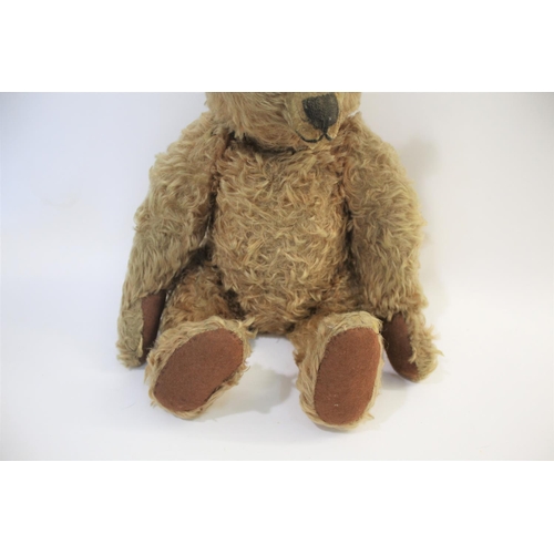 1433 - EARLY STEIFF TEDDY BEAR circa 1908-1915, with black boot button eyes and stitched mouth and nose, wi... 