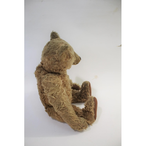 1433 - EARLY STEIFF TEDDY BEAR circa 1908-1915, with black boot button eyes and stitched mouth and nose, wi... 