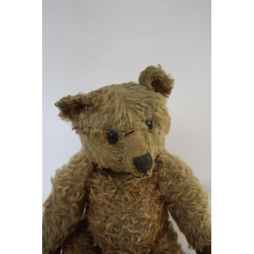 1433 - EARLY STEIFF TEDDY BEAR circa 1908-1915, with black boot button eyes and stitched mouth and nose, wi... 