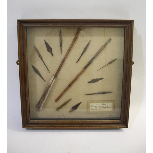 1511 - FRAMED ARROW HEADS a cased display with various metal arrow heads and shafts, with an information la... 